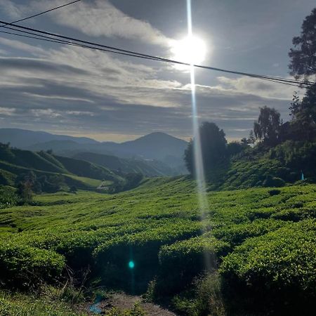 Love Lodge Brinchang, Cameron Highlands Tanah Rata Dış mekan fotoğraf