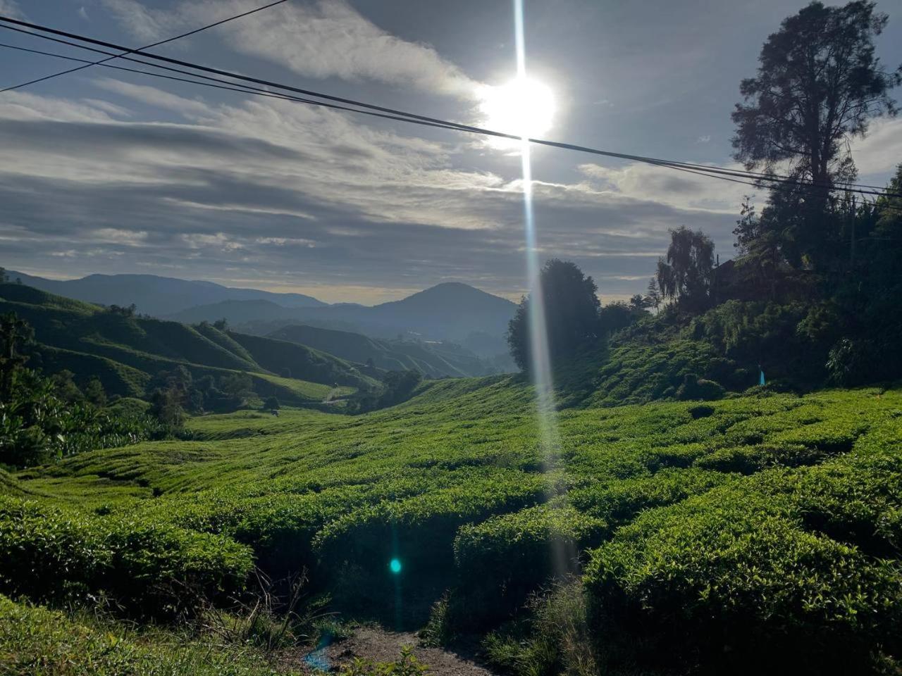 Love Lodge Brinchang, Cameron Highlands Tanah Rata Dış mekan fotoğraf