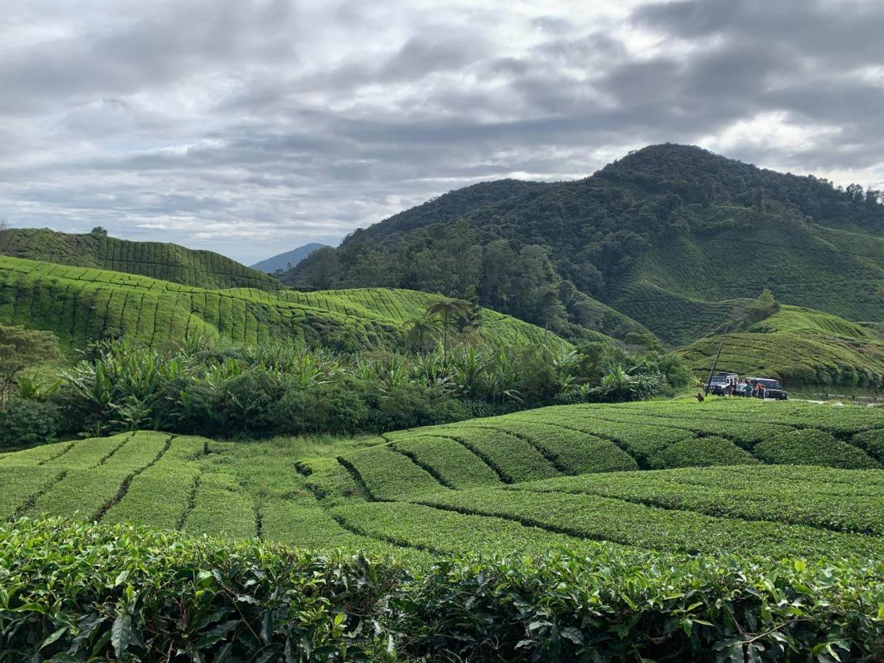 Love Lodge Brinchang, Cameron Highlands Tanah Rata Dış mekan fotoğraf