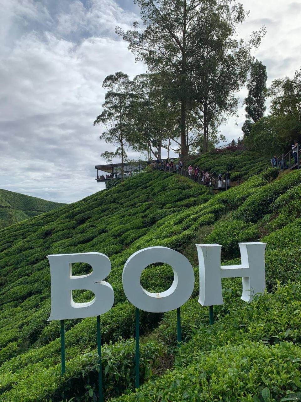 Love Lodge Brinchang, Cameron Highlands Tanah Rata Dış mekan fotoğraf