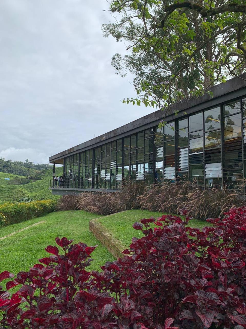 Love Lodge Brinchang, Cameron Highlands Tanah Rata Dış mekan fotoğraf